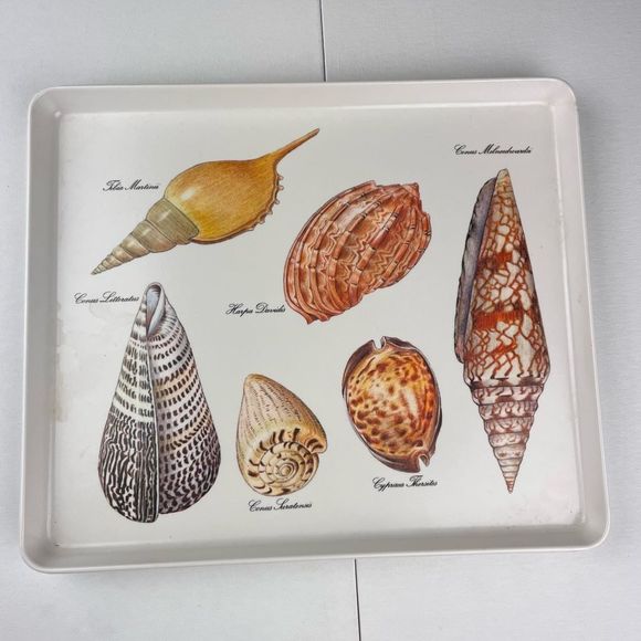 Italian Melamine Seashell Serving Tray Sz 10” x 12” - Picture 1 of 5
